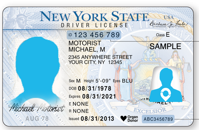New york tlc license